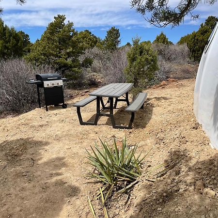 Canyon Rim Domes - A Luxury Glamping Experience!! 몬티첼로 외부 사진